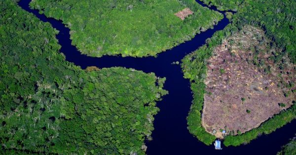 queda-desmatamento-amazonia-cerrado-janeiro-alberto-araujo-conexao-planeta