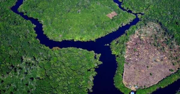 queda-desmatamento-amazonia-conexao-planeta