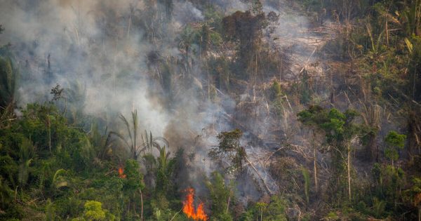 Fire in the Jaci-Paraná Extractive Reserve, in Porto Velho, Rondônia state.
One month after a presidential decree forbidding fires in the Amazon and Pantanal, Greenpeace flew over Amazonas and Rondônia states to verify how efficient the measure was. Even with the Fire Moratorium, we registered several live heat spots.
Every year, Greenpeace Brazil flies over the Amazon to monitor deforestation build up and forest fires. In August, 2020, flights were made over points with Deter (Real Time Deforestation Detection System) and fire warnings and Prodes (Brazilian Amazon Satellite Monitoring Project), made by Inpe (National Institute for Space Research), in Amazonas and Rondônia states.
Queimada na Reserva Extrativista Jaci-Paraná, em Porto Velho (RO).
Um mês após a publicação do decreto presidencial que proíbe as queimadas na Amazônia e no Pantanal, sobrevoamos os estados do Amazonas e Rondônia para verificar a eficiência da medida e, mesmo com a proibição, localizamos diversos focos de calor ativos. 
Todos os anos, o Greenpeace Brasil realiza uma série de sobrevoos de monitoramento para registrar o avanço do desmatamento e das queimadas na Amazônia. Em agosto de 2020, monitoramos pontos com alertas Deter e de pontos de calor e Prodes 2019, do Inpe.