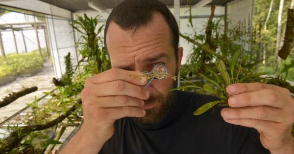 quer-aprender-a-cultivar-orquideas-com-um-expert-conexao-planeta-foto-luciano-candisani-webdoor