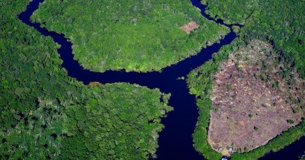 reducao-desmatamento-amazonia-conexao-planeta