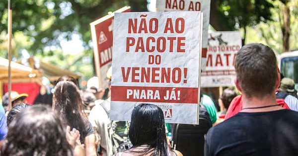 senado-aprova-lei-que-libera-mais-agrotoxicos-foto-juliana-chalita-greenpeace-brasil