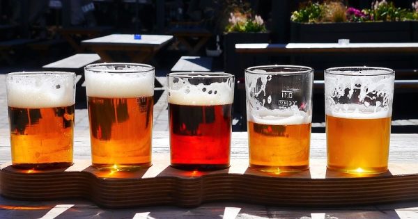 Será que a cerveja que você está bebendo tem agrotóxico? Provavelmente sim!