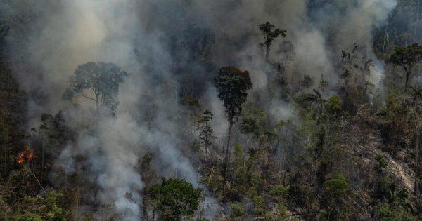 Fire Monitoring in the Amazon in September, 2021Monitoramento de Queimadas na Amazônia em Setembro de 2021