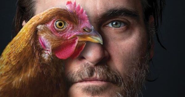 somos-todos-animais-joaquin-phoenix-campanha-peta1