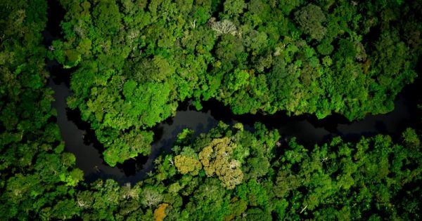 Temer acaba com reserva, entre o Pará e o Amapá, onde ficam nove áreas protegidas
