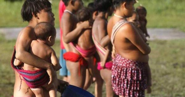 terra-indigena-yanomami-foto-fernando-frazao-agencia-brasil-2