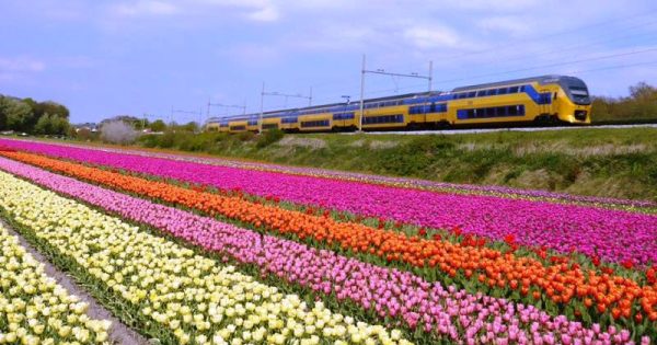 Todos os trens da Holanda já são movidos com energia eólica