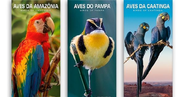 viagem-biomas-brasil-asas-passaros-abre-conexao-planeta