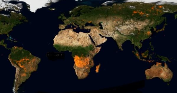 video-impressionante-mostra-dimensao-impacto-incendios-planeta-conexao-planeta